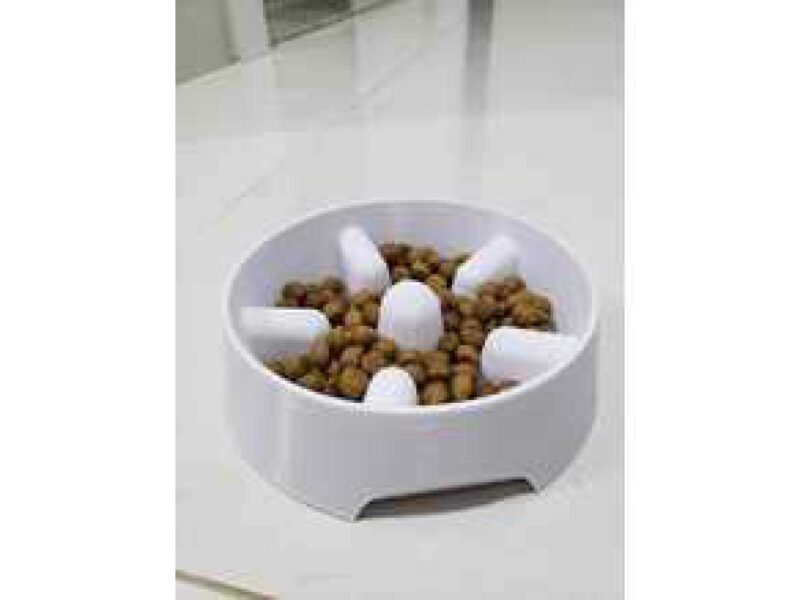 Bowl Kedi Köpek Yavaş Mama Yeme Happy Kabı Paws Yemek Kap