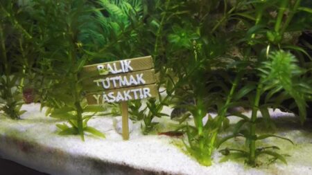 Akvaryum Dekoru Balık Tutmak Yasaktır Tabela Plastik Aparat