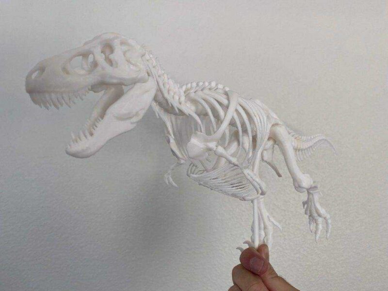 Gastralia (Göbek Kaburga) Ve Diğer Anatomik Düzeltmeler İle T-Rex İskeleti Plastik Aparat - Görsel 2