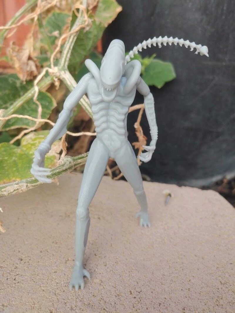 Yabancılar Xenomorph Plastik Aparat - Görsel 3