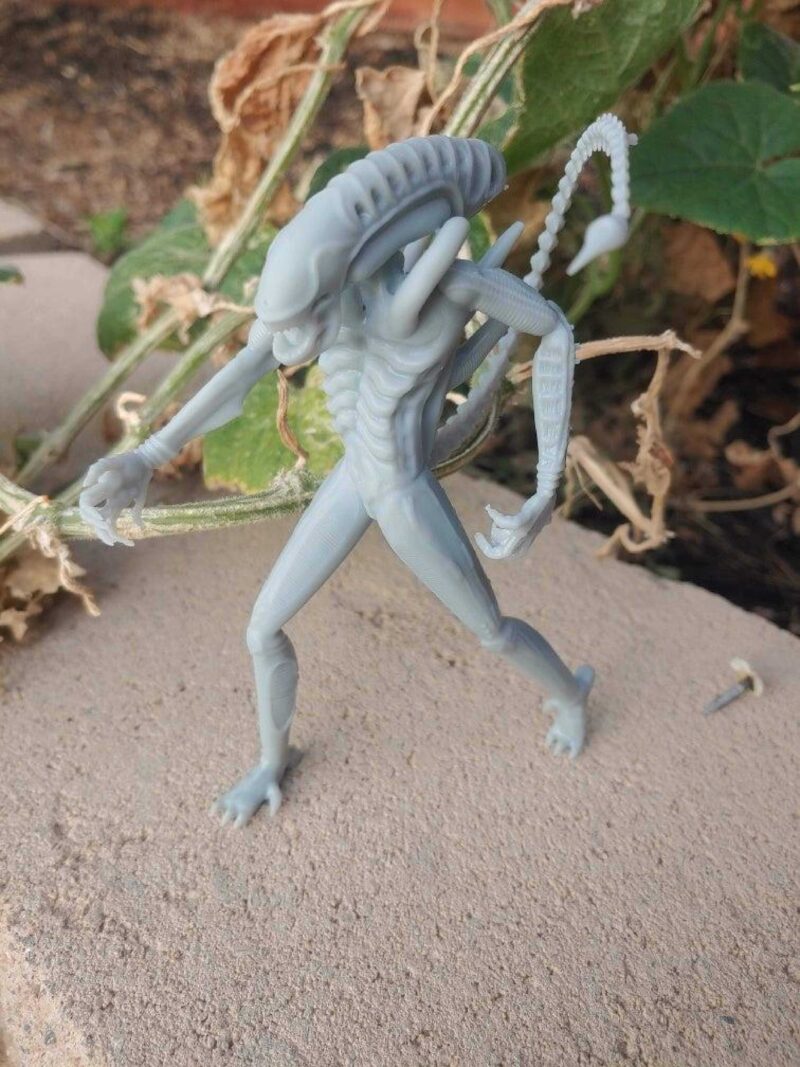 Yabancılar Xenomorph Plastik Aparat - Görsel 4