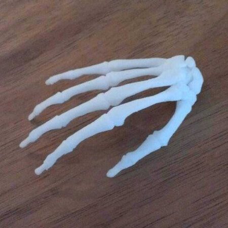 Bodyparts3D El İskeleti Plastik Aparat