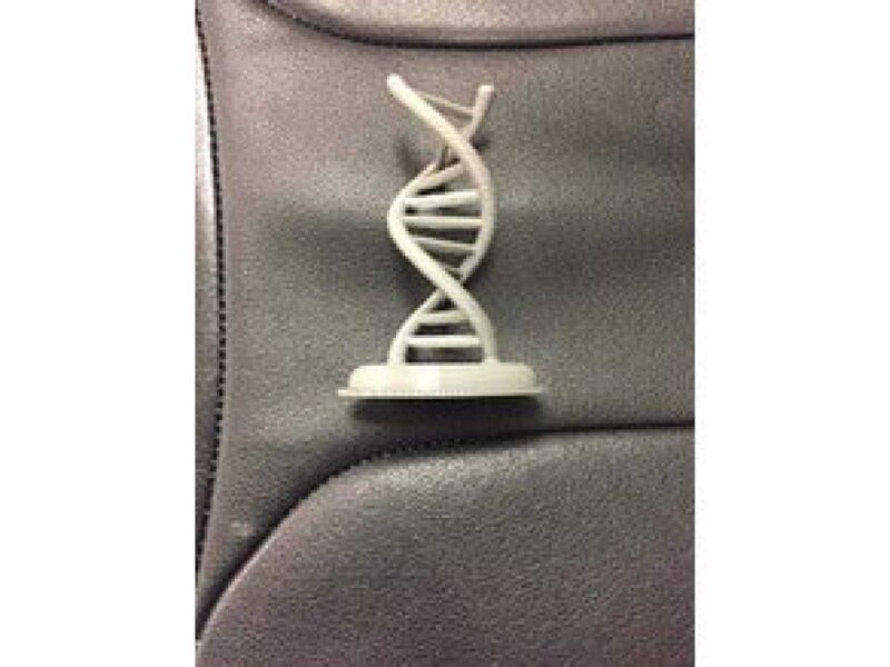 Dna Çift Sarmal Dekoratif Biblo Dekor Hediyelik Süs Eşyası - Görsel 3
