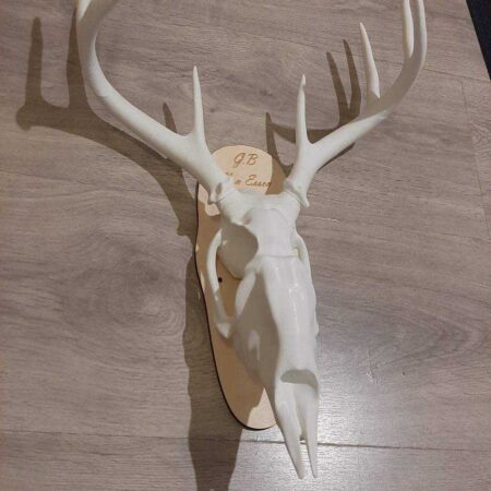 Geyik Kafatası Yazdırılabilir Büyük! Plastik Aparat