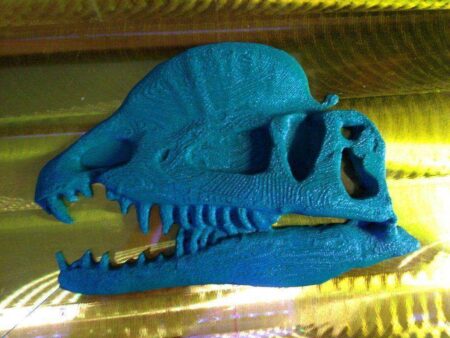 Dilophosaurus Dinazor Kafası Başı İskelet Fosil Plaketi Biblo