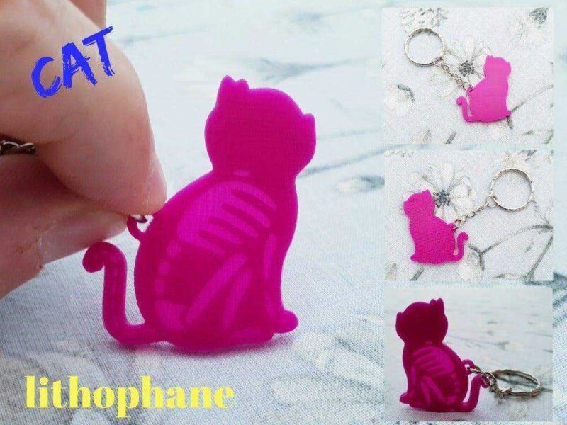 Litofan Kedi İskeleti Anahtarlık Zincirsiz Organik Plastikten - Görsel 3