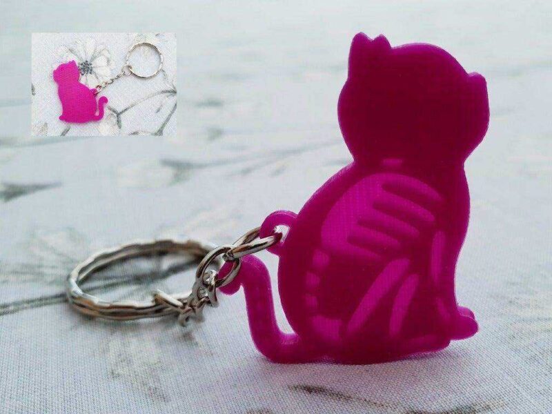 Litofan Kedi İskeleti Anahtarlık Zincirsiz Organik Plastikten - Görsel 4