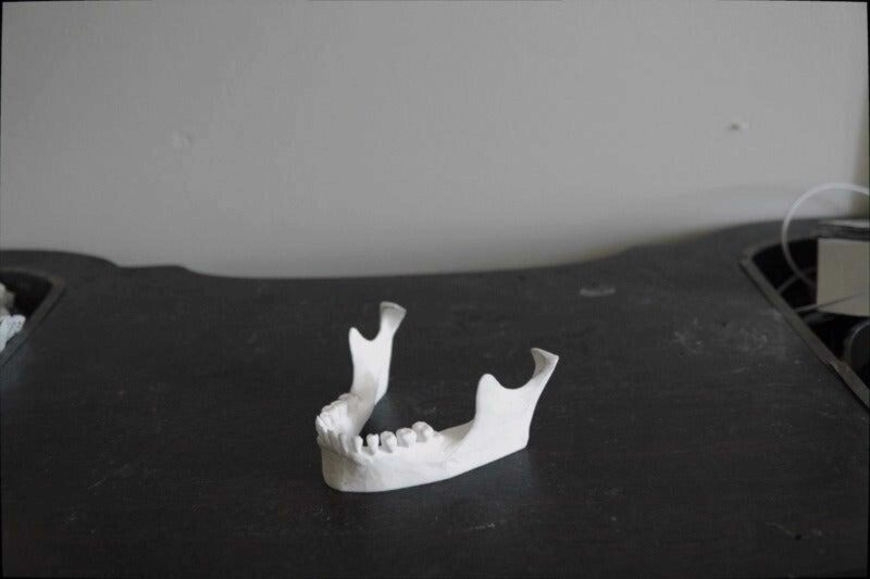 Memento Mori Mandibula Agız Kemik İskelet Masaüstü Telefon Tutucu - Görsel 3