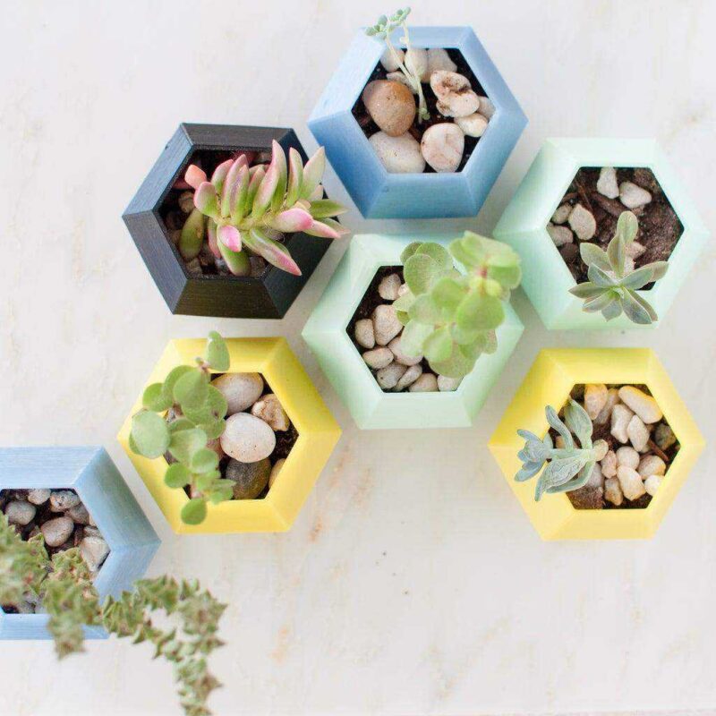 Hexagon Hegzagon Oragnik Plastikten Saksı Dekoratif Masaüstü - Görsel 4