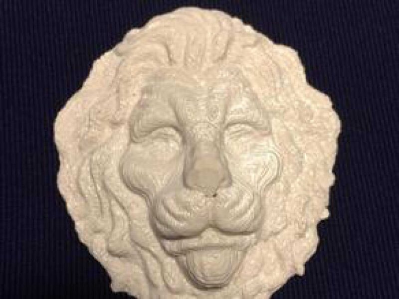 aslan  Organik Plastikten Aksesuar Biblo Dekoratif Hediyelik Süs - Görsel 3