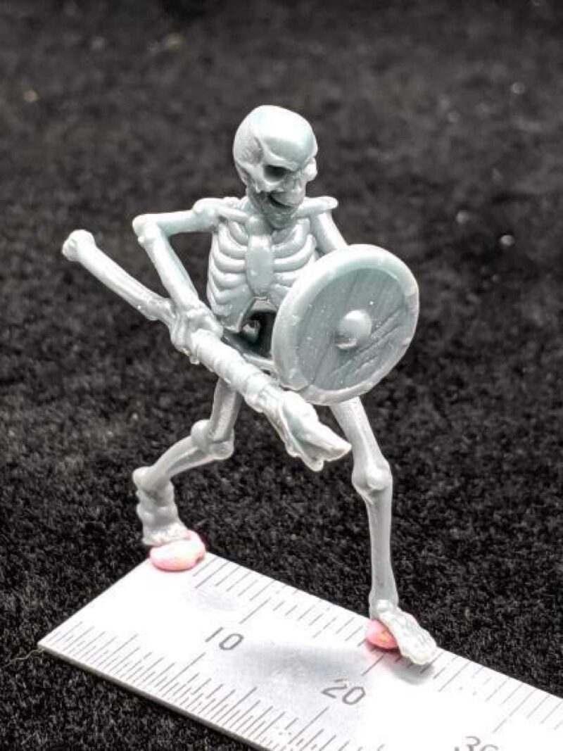 İskelet Spearman Plastik Aparat