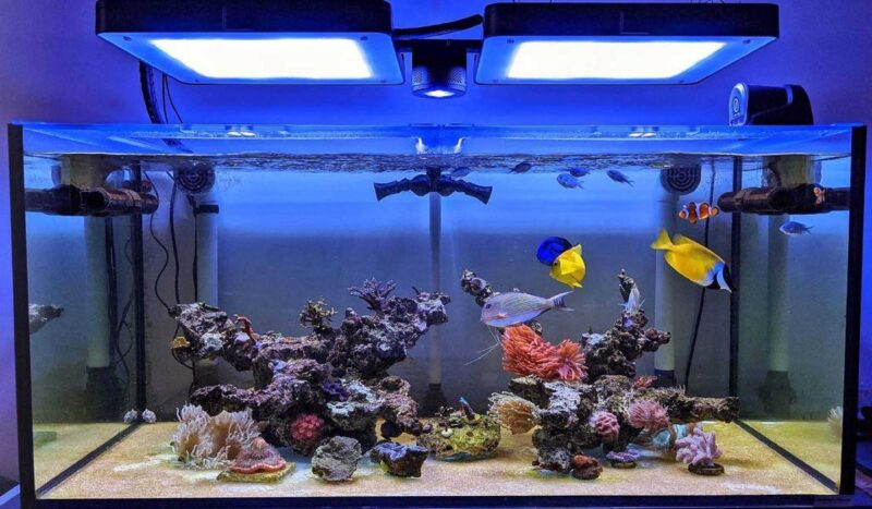 Fluval Fx5 / Fx6 İla 1/2 İnç Loc-Line Plastik Aparat - Görsel 3