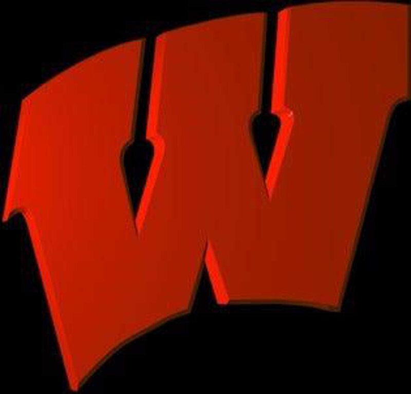 Wisconsin Üniversitesi Badgers Logo Plastik Aparat - Görsel 3