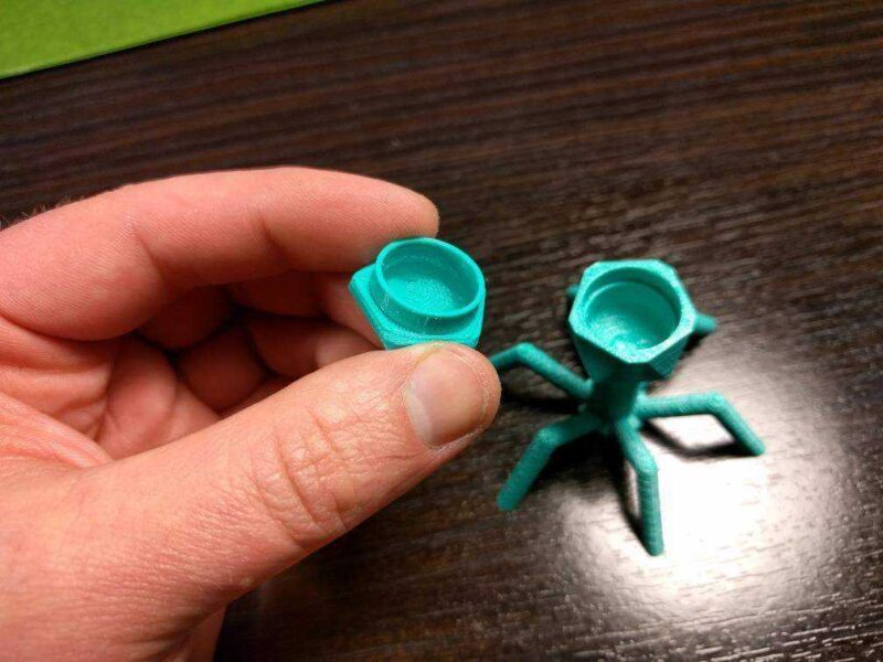 Bakteriyofaj T4 Konteyner Menü Plastik Aparat - Görsel 2