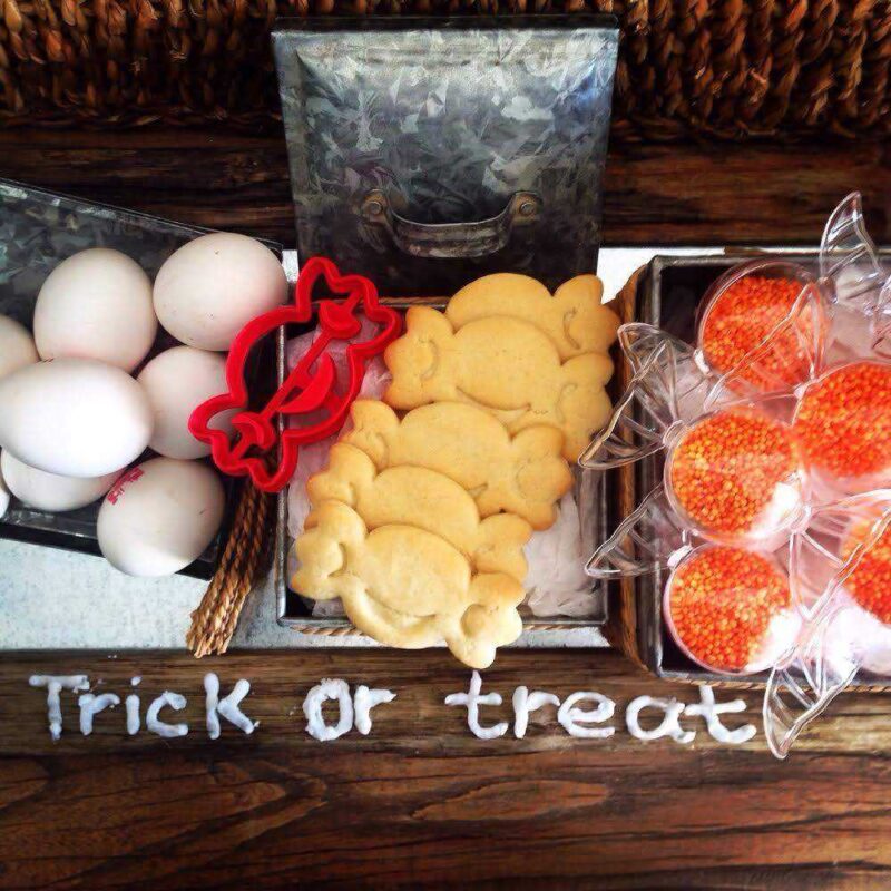 Halloween Trick or Treat Şeker Çerez Kurabiye Kalıbı Kesicisi - Görsel 2