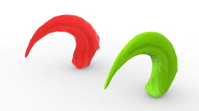 Velociraptor Pençesi - Düşük Poli Plastik Aparat - Görsel 2