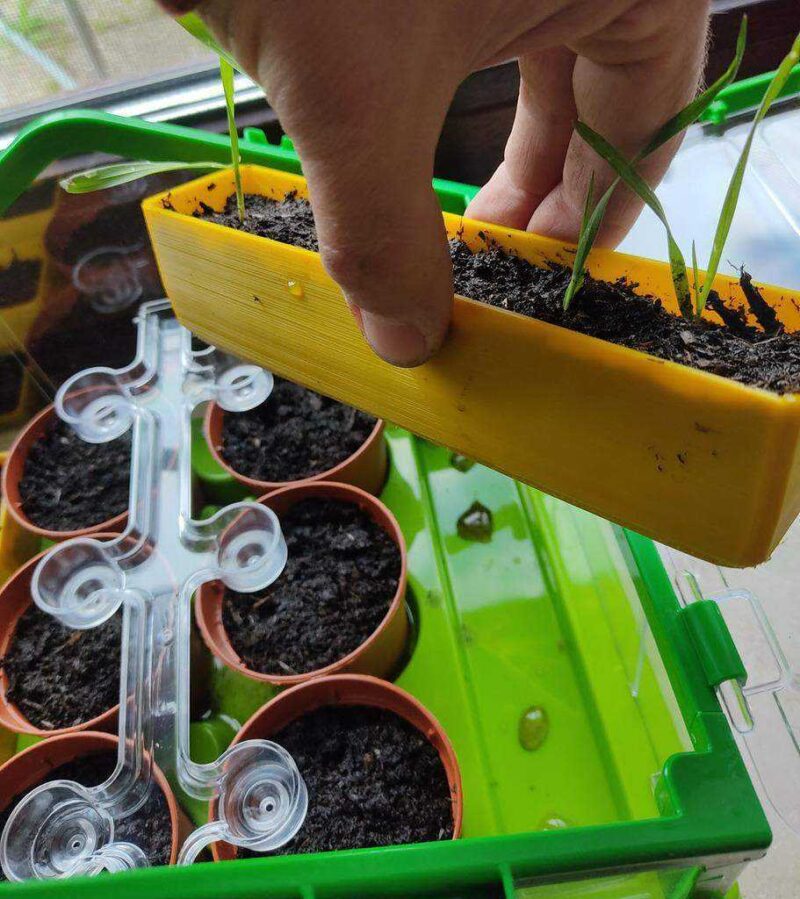 Çocuklar Sera İçin Bitki Potları (Clementoni Serra.) Azərbaycanca Plastik Aparat - Görsel 3