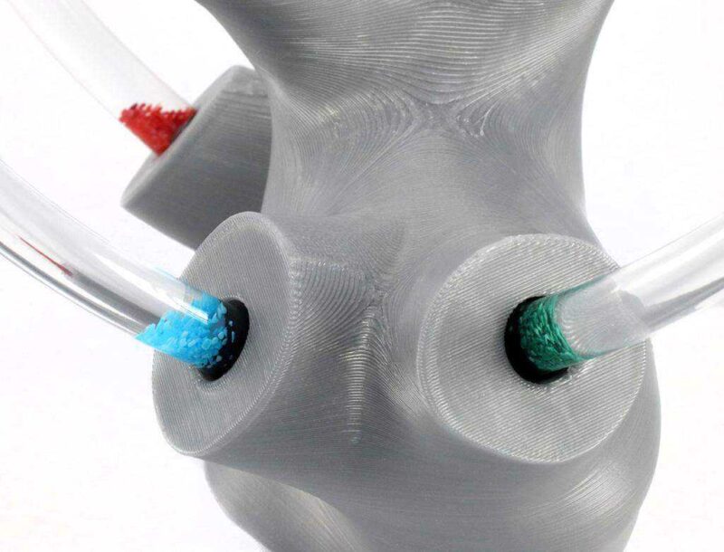 Vertigo Eğitimi İçin Sıvı Destekli Vestibular Aparatı Plastik Aparat - Görsel 2