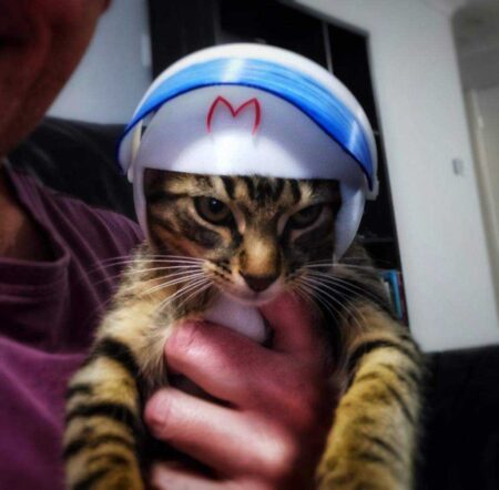 Hız Racer Kedi Kask - Puss Racer! Plastik Aparat