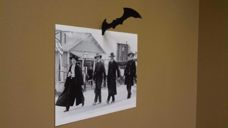 Batarang Batman  SÜS hayvan tanıma öğrenme eğitici çocuk - Görsel 3