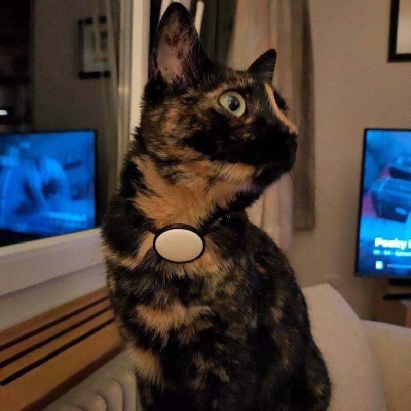 Apple Airtag Kedi 10Mm Yaka Tutucu Plastik Aparat - Görsel 2