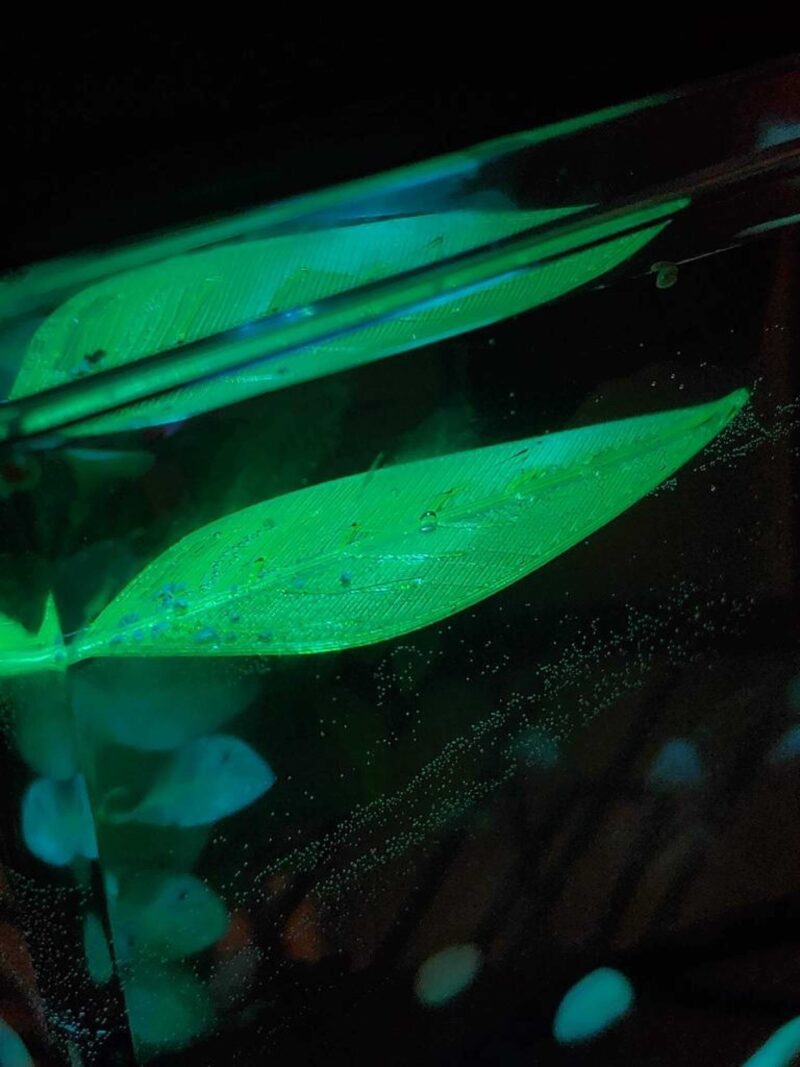 Betta Yaprak Hamak Plastik Aparat - Görsel 2