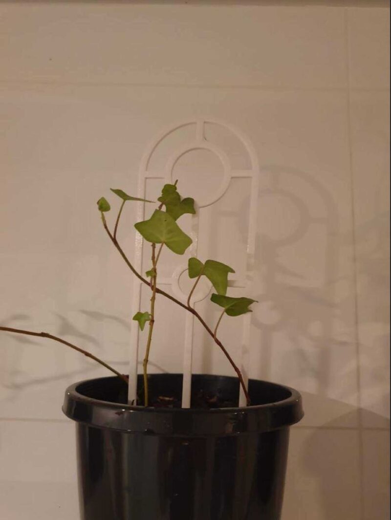Küçük Pot Bitki Trellis Plastik Aparat - Görsel 2