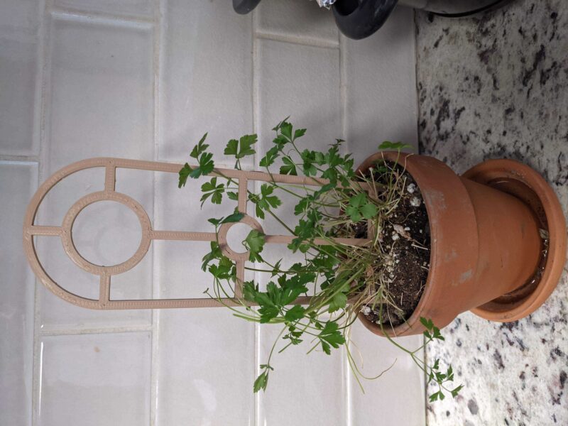 Küçük Pot Bitki Trellis Plastik Aparat - Görsel 3