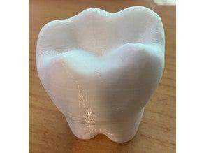 Yapay Mandibular Birinci Molar Diş Modeli Dekoratif Biblo