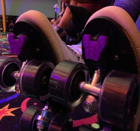 Fransız Bull Köpek Skate Jam Plug Plastik Aparat