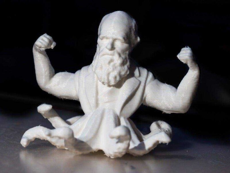 Beefy OctoDarwin  Biblo Dekoratif Hediyelik Süs Eşyası Maket