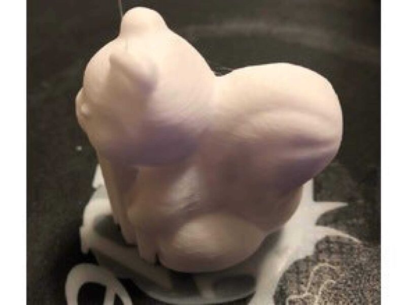 Sincap Squirrel Bust  Hediyelik Süs Eşyası Biblo Dekoratif - Görsel 3
