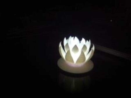 Lotus Çiçeği Plastik Aparat