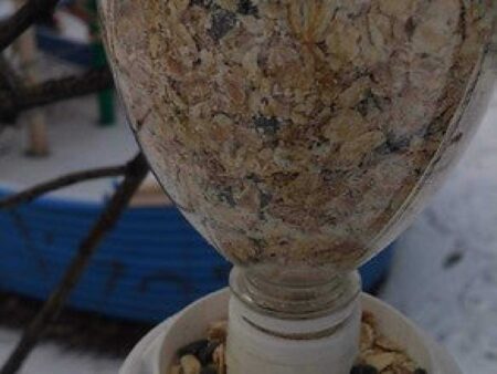kuş yemi dağıtıcısı Pet Şişe Hariç Dökme Aparatı Kutusu
