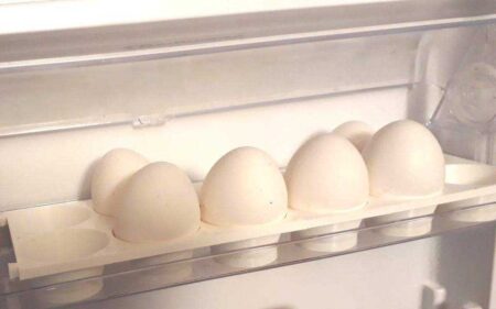 Küçük Buzdolabı İçin Yumurta Tutacağı, Çok Plastik Aparat