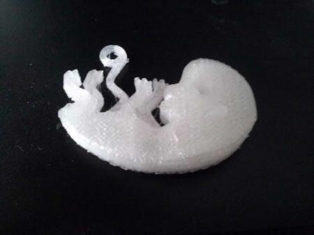 Fetus Fetüs Anahtarlık Biblo Dekoratif Hediyelik Süs Eşyası Maket