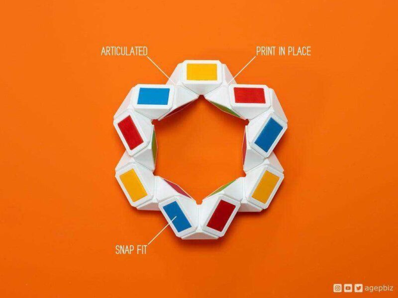 Snakeinplace - Yerinde Baskı Ve Belden Bulmaca Oyuncak Plastik Aparat