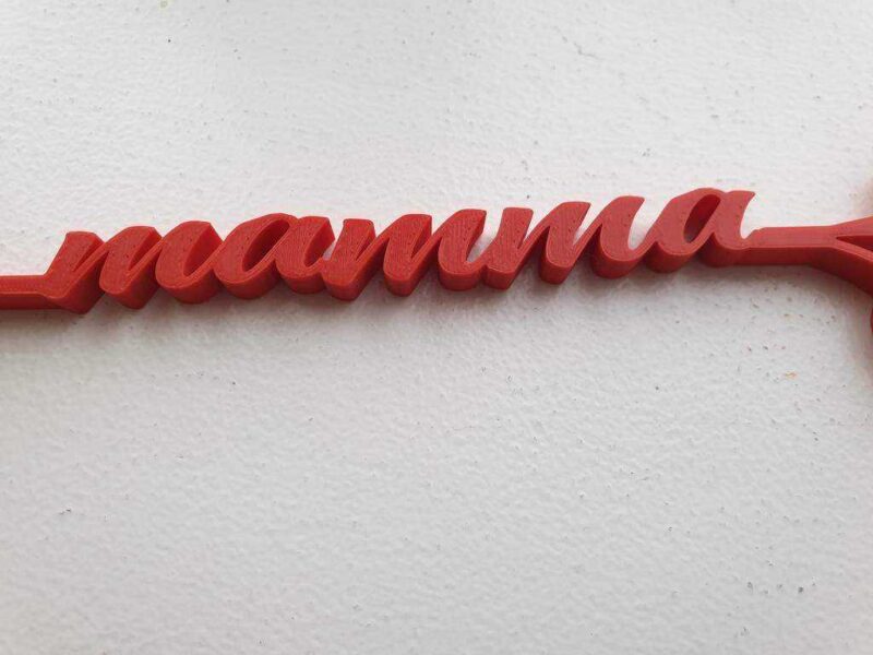 Anneler Günü Gül Mamma Plastik Aparat - Görsel 2