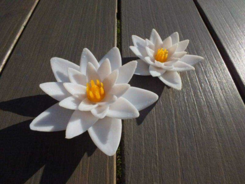 Lotus Çiçeği / Su Zambak Yaprakları İle Plastik Aparat - Görsel 2