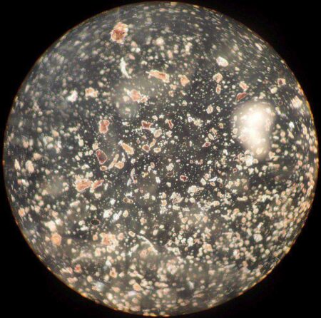 Mikroskoplar İçin 32 Mm Darkfield Filtresi Durdurma Plastik Aparat