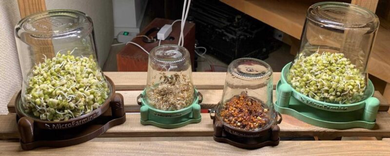 Weck Jar-Edition Filiz Filizlenen Cam Mikrogreenler Büyüyen Filizler Germinator Plastik Aparat - Görsel 4