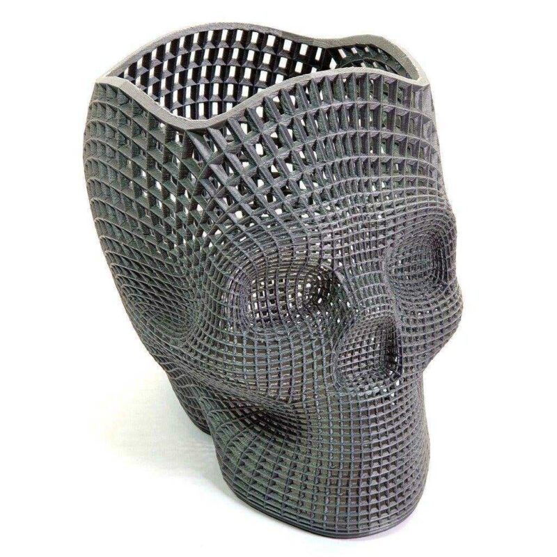 Wireframe Skull  Perfect Edition Biblo Dekoratif Hediyelik Eşya