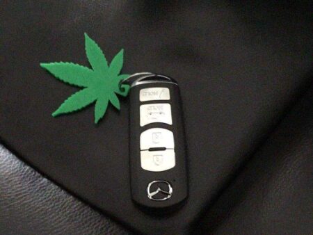 Cannabis Marijuana Yaprak Anahtarlık Anahtar Tutucu Hippi Biblo