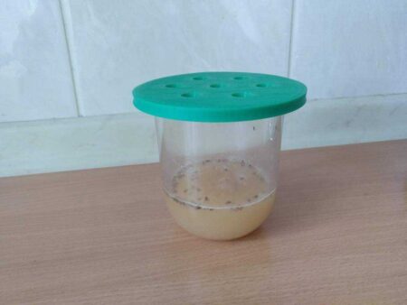 Herhangi Bir Cam İçin Meyve Sinek Tuzak Plastik Aparat