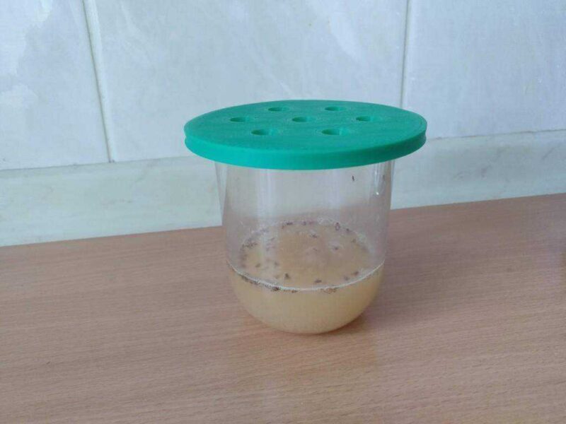 Herhangi Bir Cam İçin Meyve Sinek Tuzak Plastik Aparat