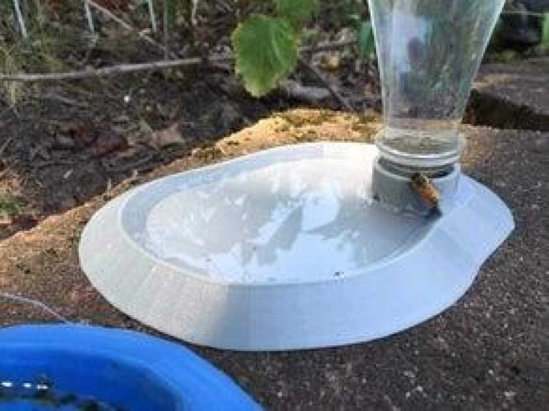 Küçük Hayvanlar Gölet Suluk Pet Şişe Hariçtir Organik Plastikten - Görsel 3